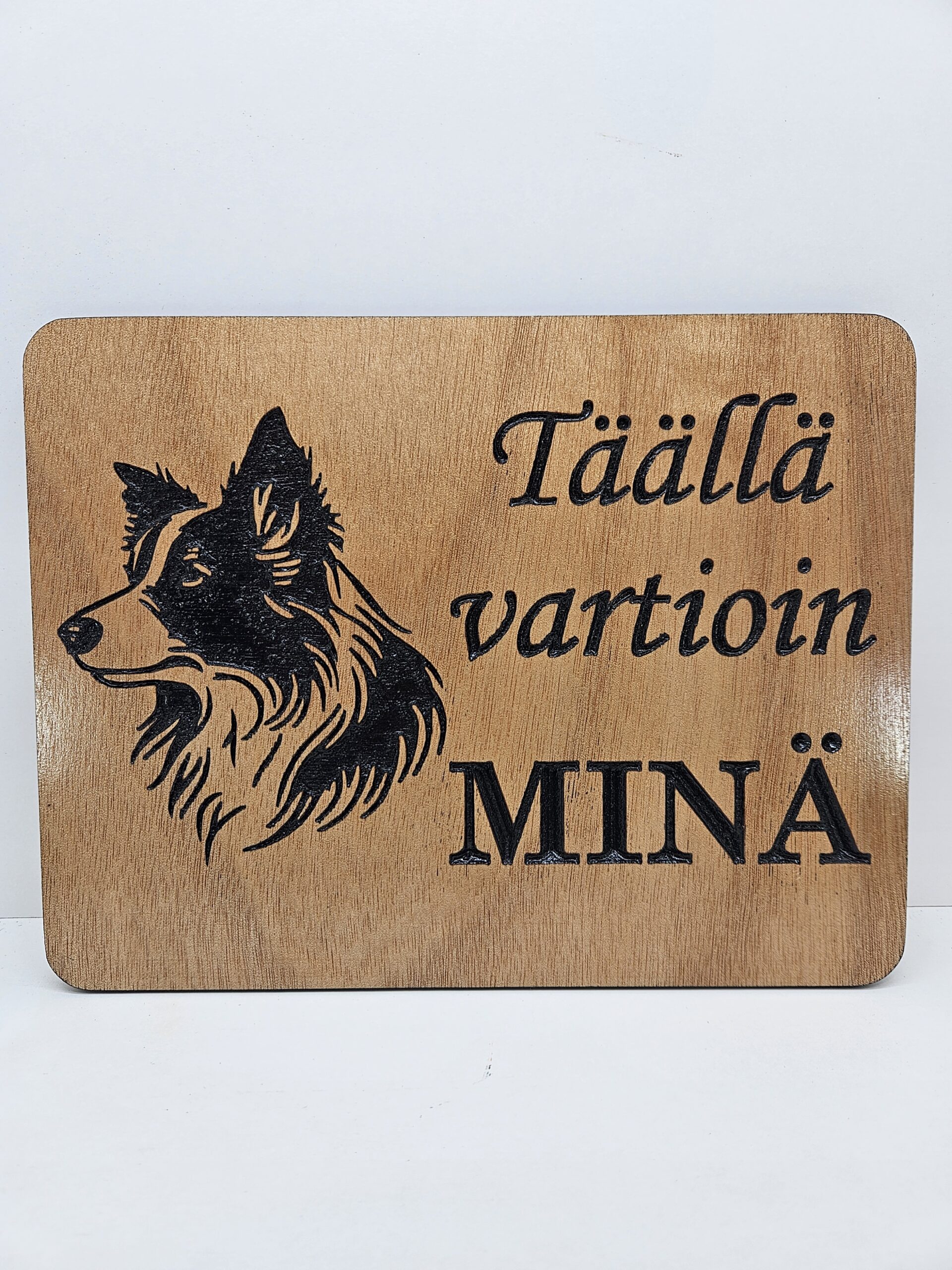 Täällä vartioin minä -kyltti: Border collie