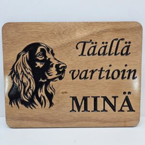 Täällä vartioin minä -kyltti: Irlanninsetteri